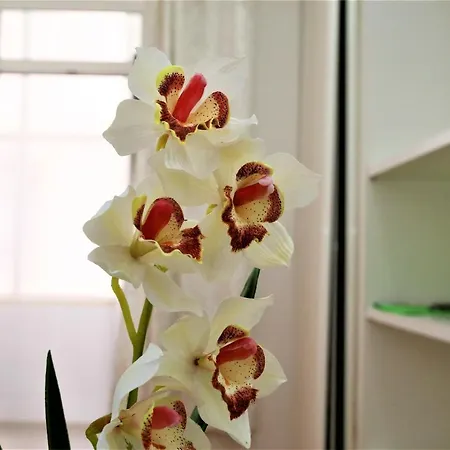 Beautiful * Lissabon